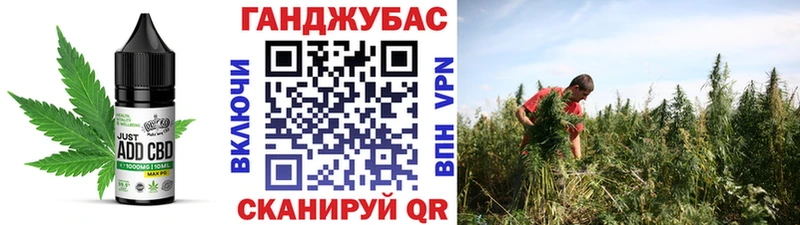 Canna-Cookies конопля  Заполярный 