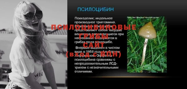 твердый Арсеньев