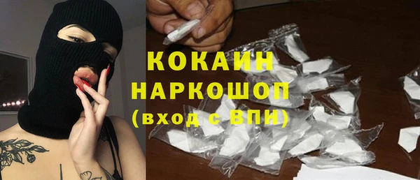 мяу мяу мука Аркадак