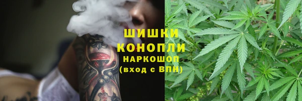 твердый Арсеньев