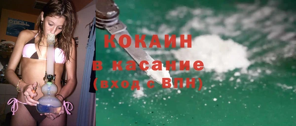 твердый Арсеньев