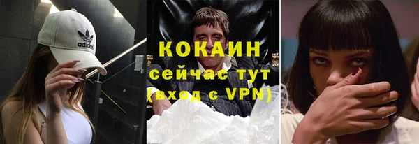 твердый Арсеньев