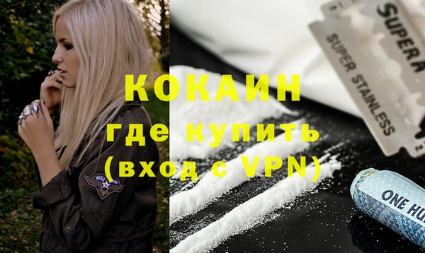 твердый Арсеньев